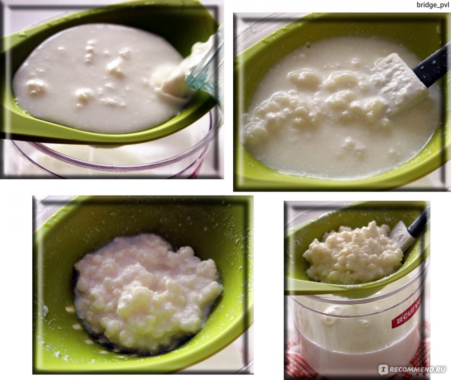 Инструкция использования индийского молочного гриба