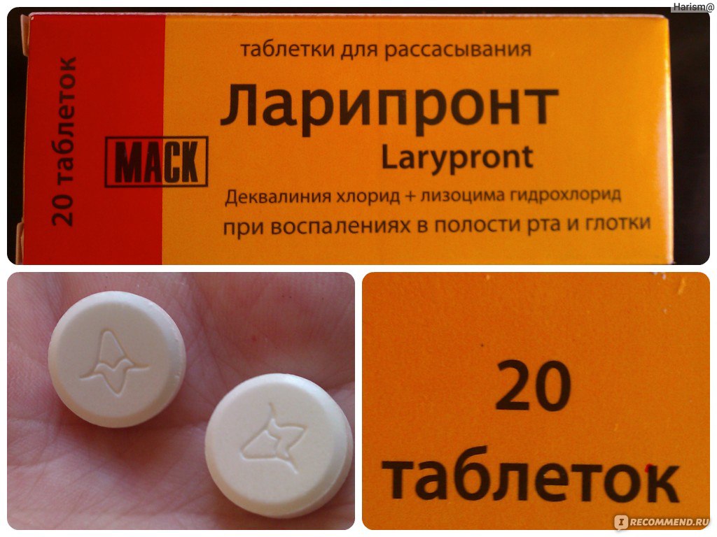 Lemocin    -  6