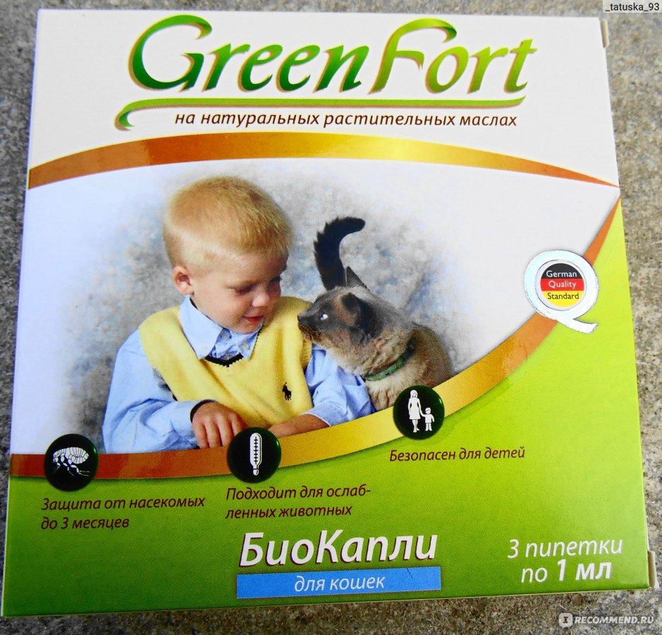Green Fort     -  3