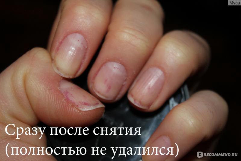 Bluesky shellac инструкция