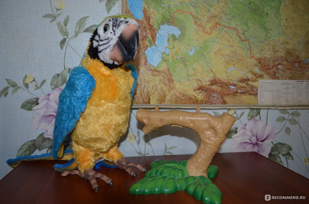 Инструкция интерактивного попугая