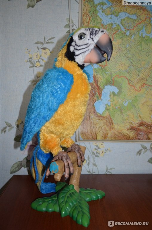 Инструкция интерактивный попугай умный кеша