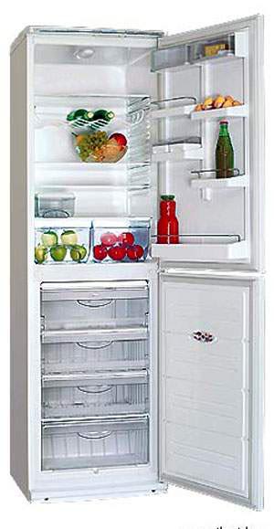 Двухкамерный холодильник Атлант
