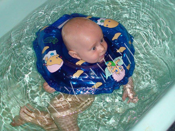 Baby swimmer    