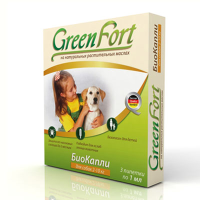Green Fort     -  4