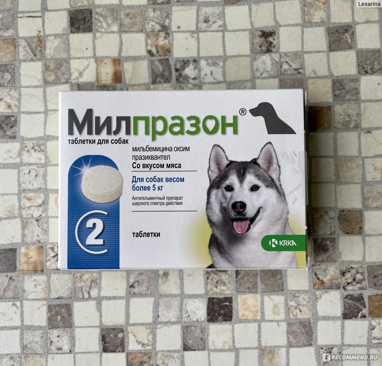 Антигельминтики Милпразон для собак весом более 5 кг - «Выводы после первой  покупки. Может ли Милпразон сэкономить Ваши деньги? Сравниваю с  Мильбемаксом. » | отзывы