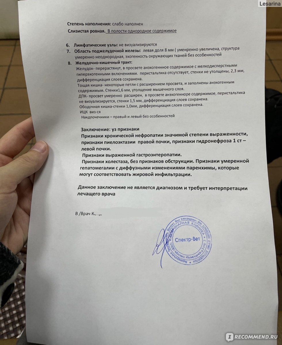 Спектр-Вет, Москва - «Не смотря на то что помогали несколько раз, я больше  сюда не обращусь никогда (спойлер: и вам не советую).» | отзывы