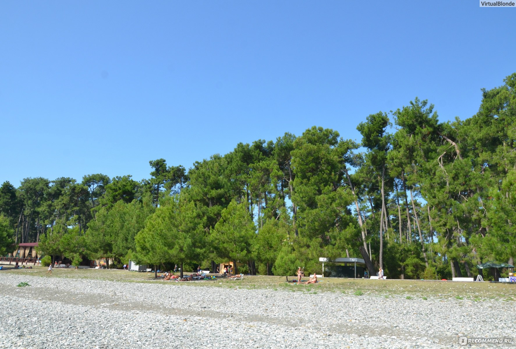 Пицунда Абхазия пляж с соснами
