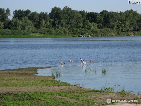 Река Ахтуба Астраханской области: всё о рыбной ловле и отдыхе
