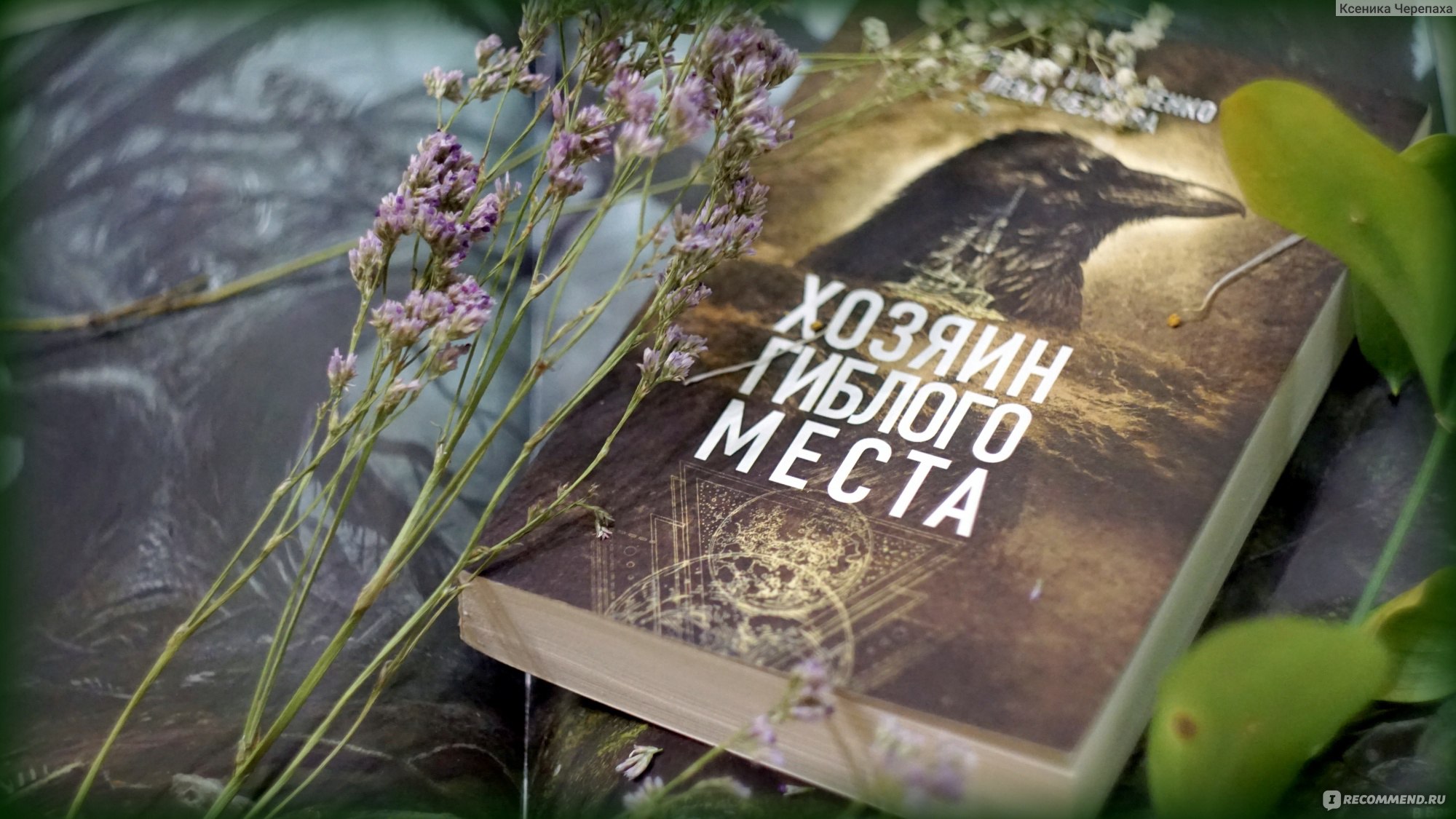 Книги натальи тимошенко и елены. Хозяин гиблого места книга.