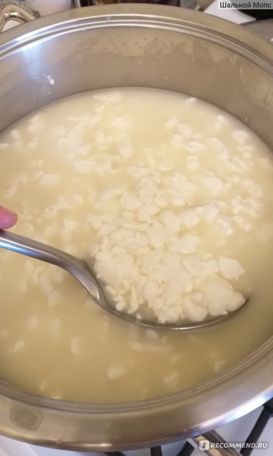 Рецепт сыра с сычужным ферментом домашних условиях рецепт фото