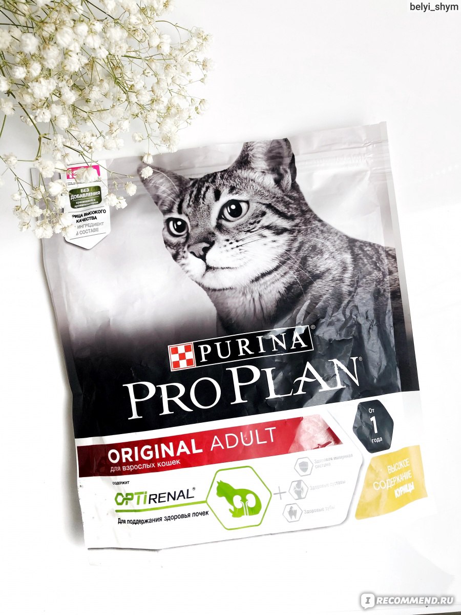 пурина проплан с курицей для кошек. Purina pro plan для кошек sterilised. проплан деликат для кошек 400гр. Purina pro plan light. проплан консервы для котят.
