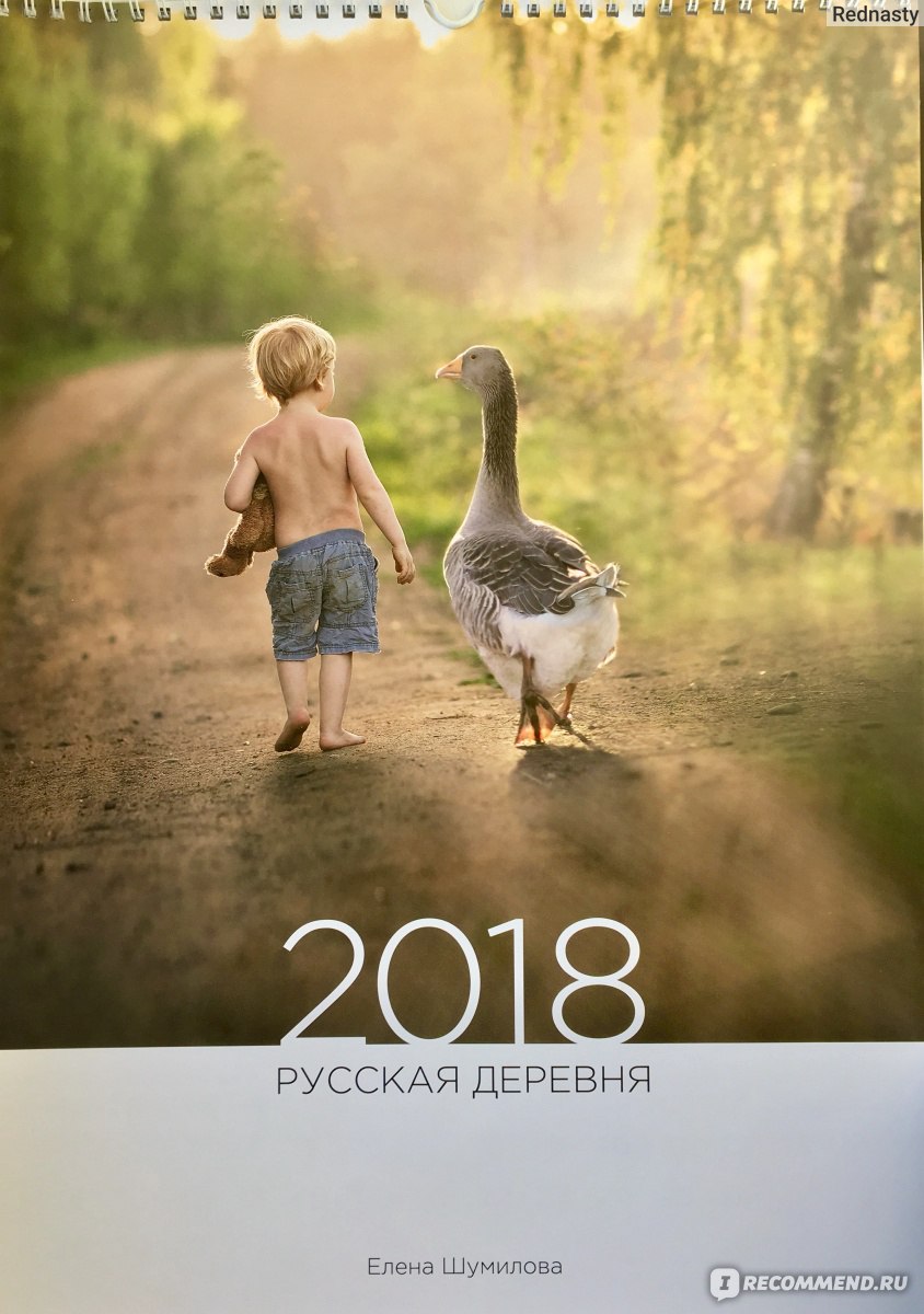 Календарь «Русская деревня. 2018» Хоббитека - «Необыкновенно уютные,  добрые, трогательные работы фотографа Елены Шумиловой. Душевный 2018 год с  этим календарём!» | отзывы