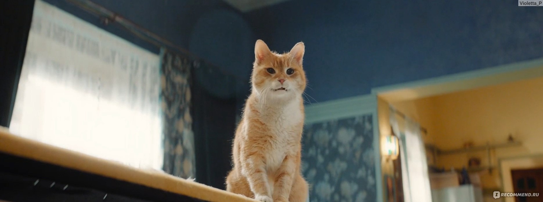 Домовой фильм кот Кузя