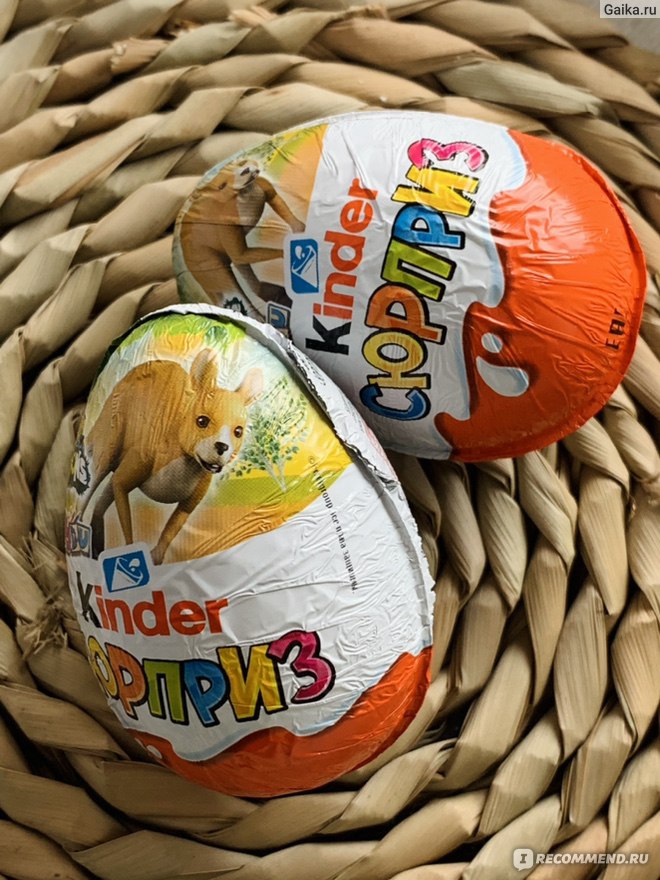 Шоколадное яйцо с сюрпризом Kinder Сюрприз серия "Natoons 2022" Beloved Animals фото