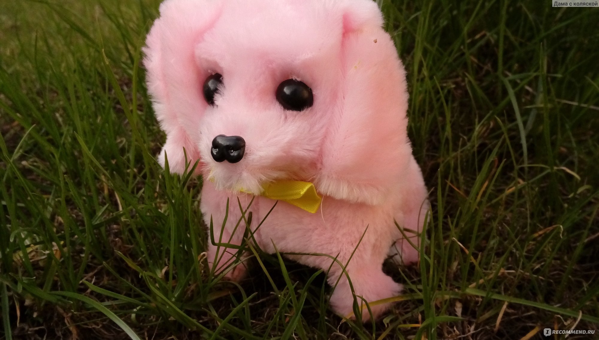 Авито грустная розовая собачка