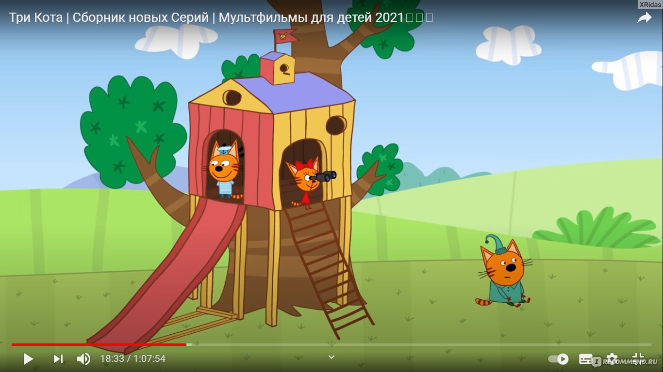 Дом три кота картинки