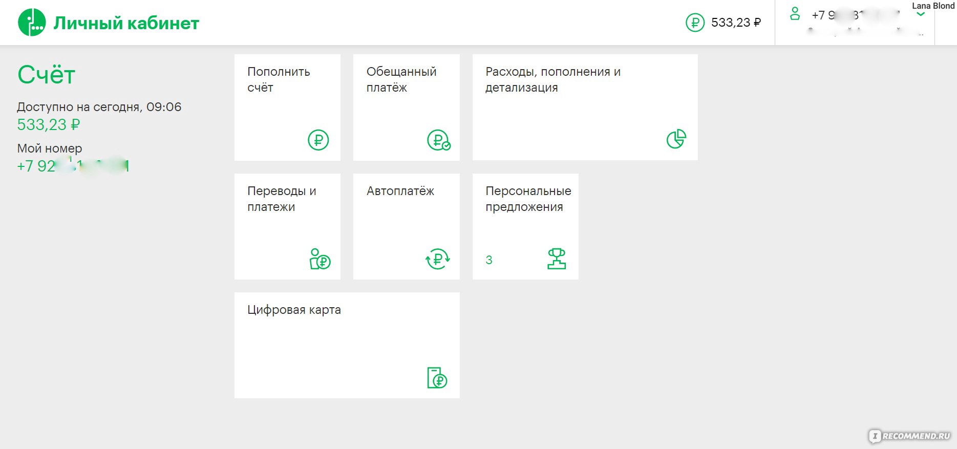 Мегафон Деньги - «Насколько выгодно выводить деньги на телефон сотового  оператора. Стоимость комиссии. Условия перевода средств и пошаговая  инструкция. » | отзывы