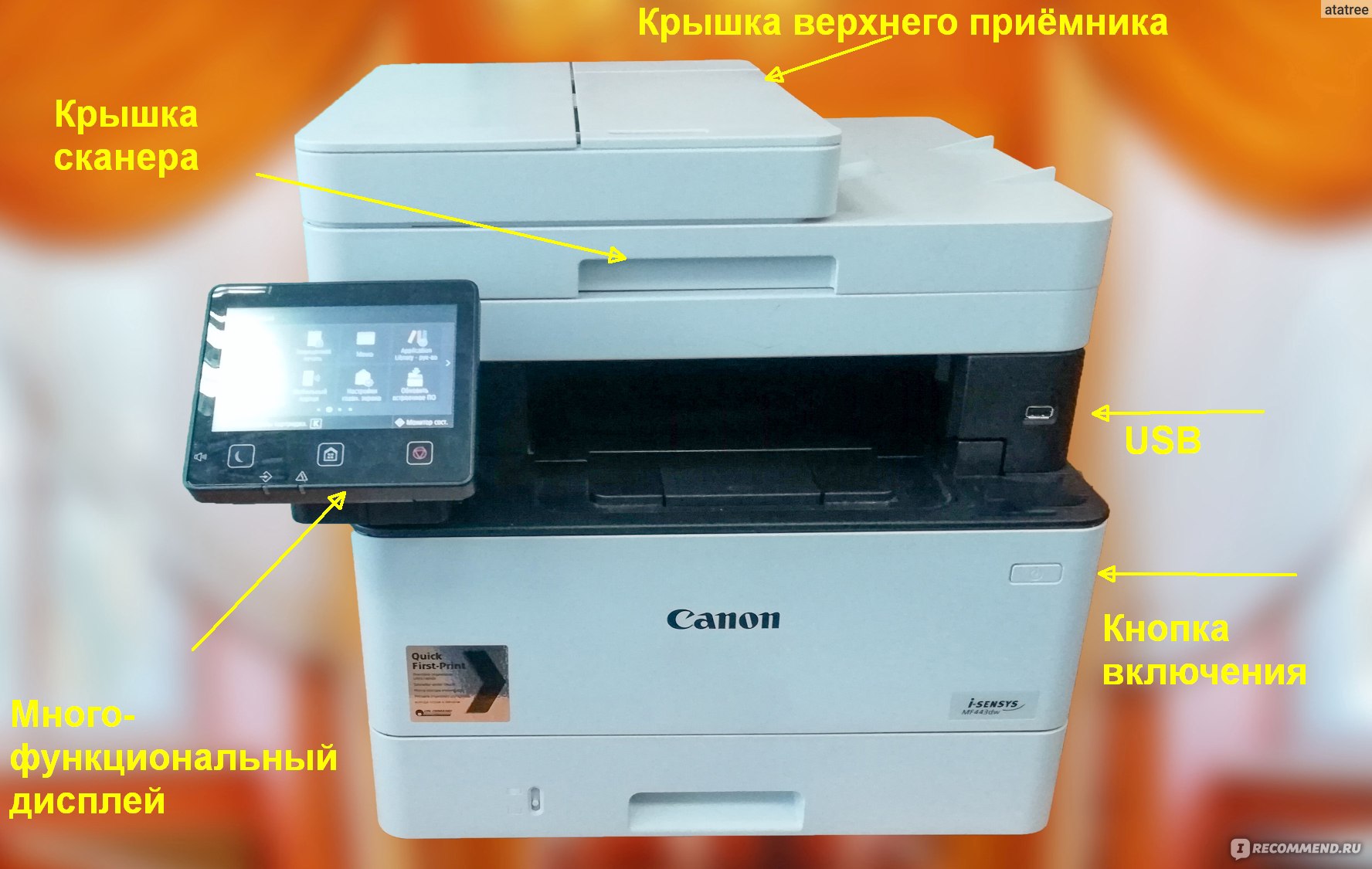 Canon mf443dw драйвер. Canon mf443 нить. Canon i-SENSYS mf542x крышка сканера. Canon MF 4418 ножка крышки сканера. Canon i-SENSYS mf443dw сертификат соответствия.