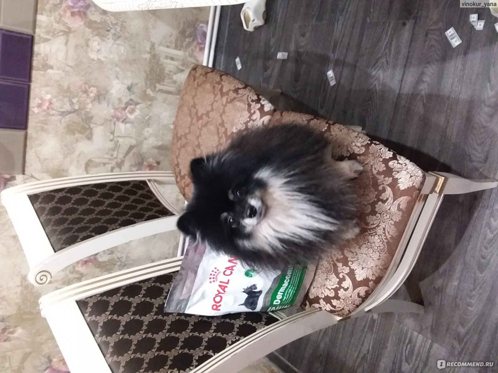 Корм для собак Royal Canin Mini Dermacomfort, 0.8 кг - «Лучшая марка ...