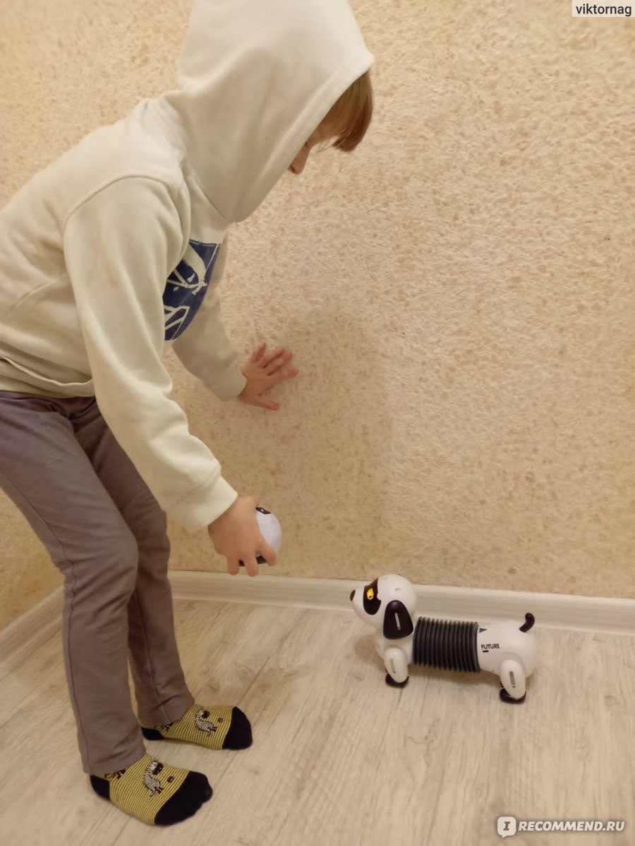 Aliexpress Радиоуправляемый робот-собака Programable 2.4G Wireless Smart Remote Control Robot dog Kids Toy Talking&Walk&Dance Intelligent Robot Dog Electronic Pets Toys фото