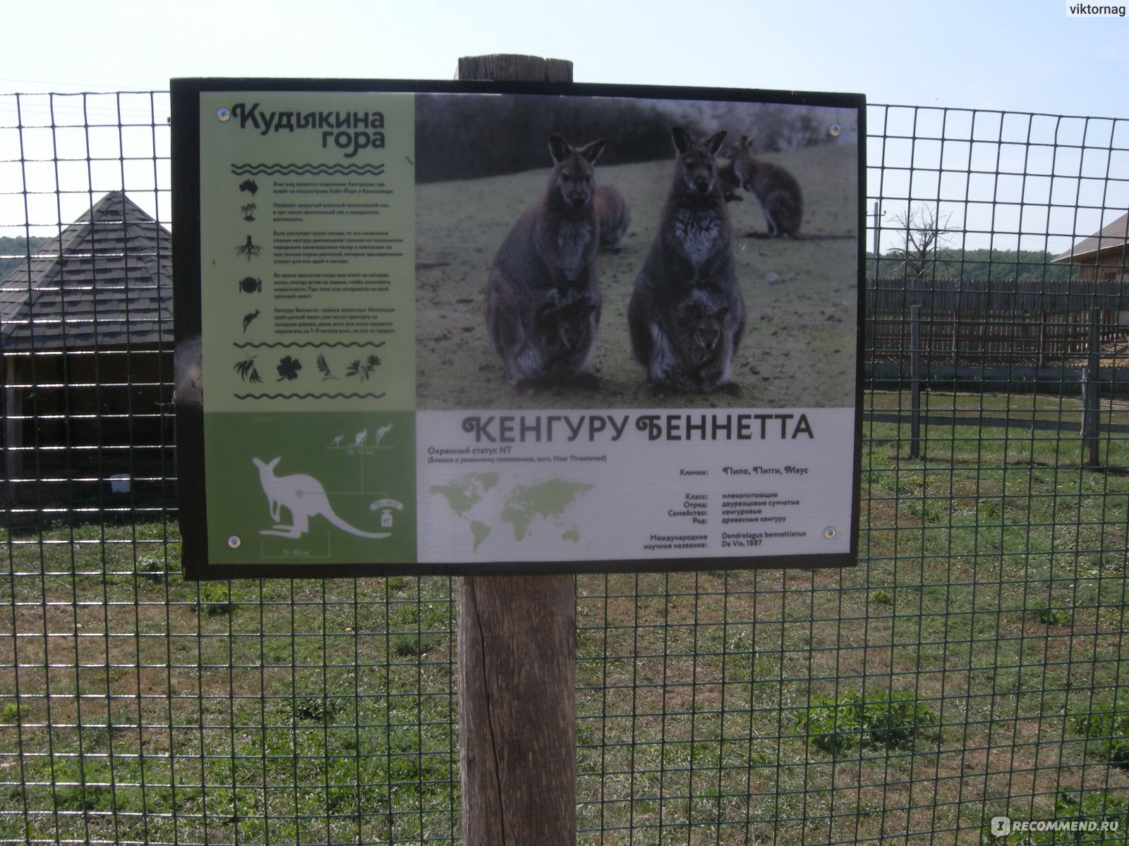 Кудыкина гора план территории