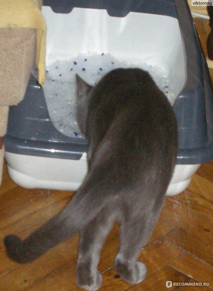 Наполнитель для кошачьего туалета Cat Step  фото