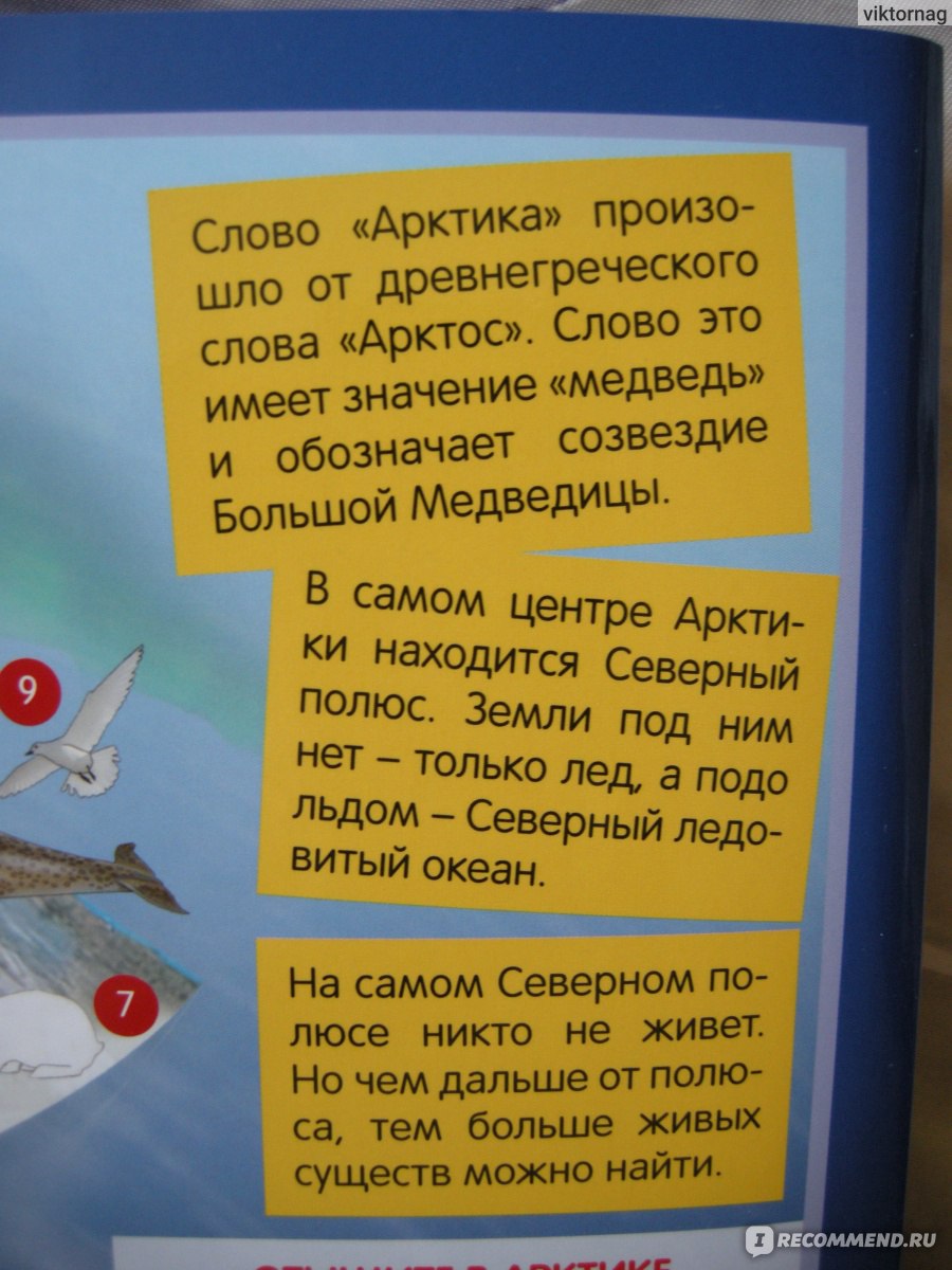 Настольная игра ООО 