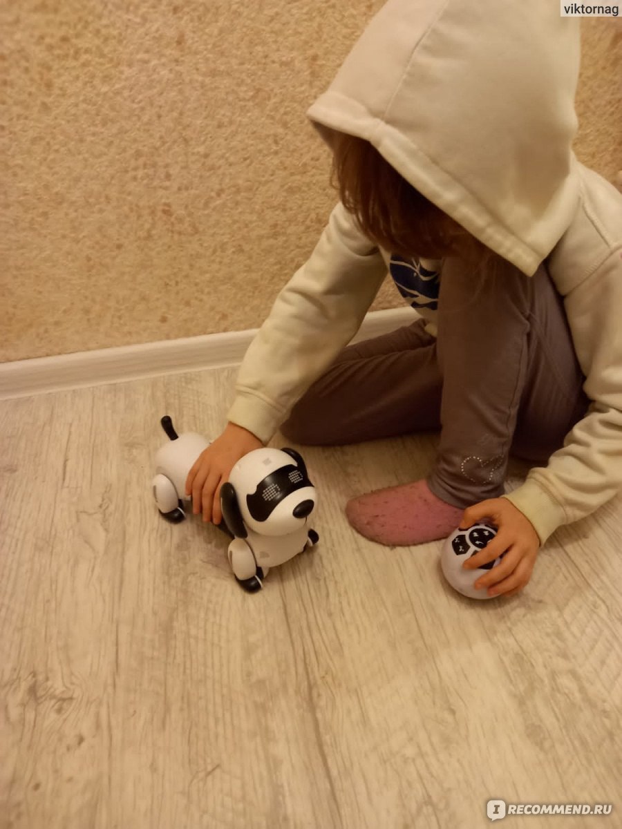 Aliexpress Радиоуправляемый робот-собака Programable 2.4G Wireless Smart Remote Control Robot dog Kids Toy Talking&Walk&Dance Intelligent Robot Dog Electronic Pets Toys фото