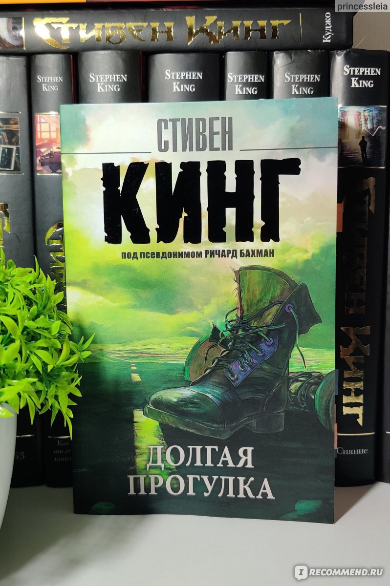 Книга стивена кинга долгая прогулка отзывы