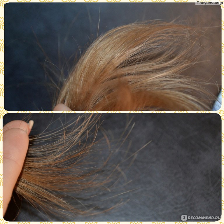 Восстановление секущихся волос. Секущиеся кончики волос у собак. Хвостик заполненный внизу секущиеся.