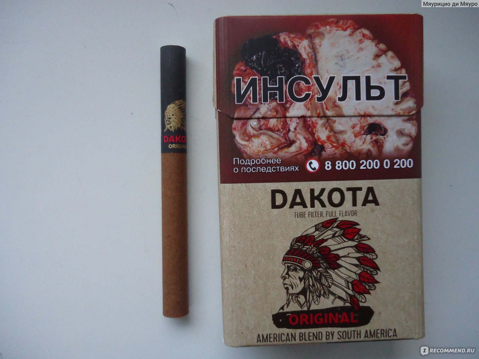 В каком магазине можно купить сигареты. Сигариллы Dakota Original. Dakota сигариллы блок. Сигареты Dakota American Blend. Dakota Классик сигареты с фильтром.