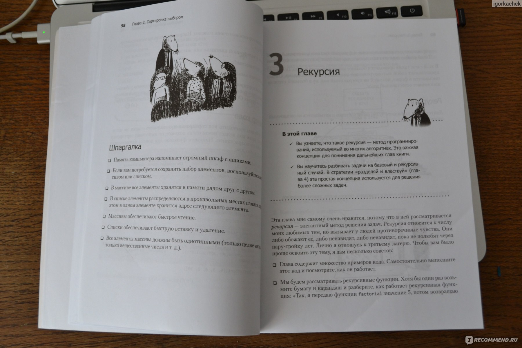 Грокать алгоритмы. Грокаем алгоритмы. Грокаем алгоритмы книга. Адитья Бхаргава алгоритмы. Адитья Бхаргава книги.