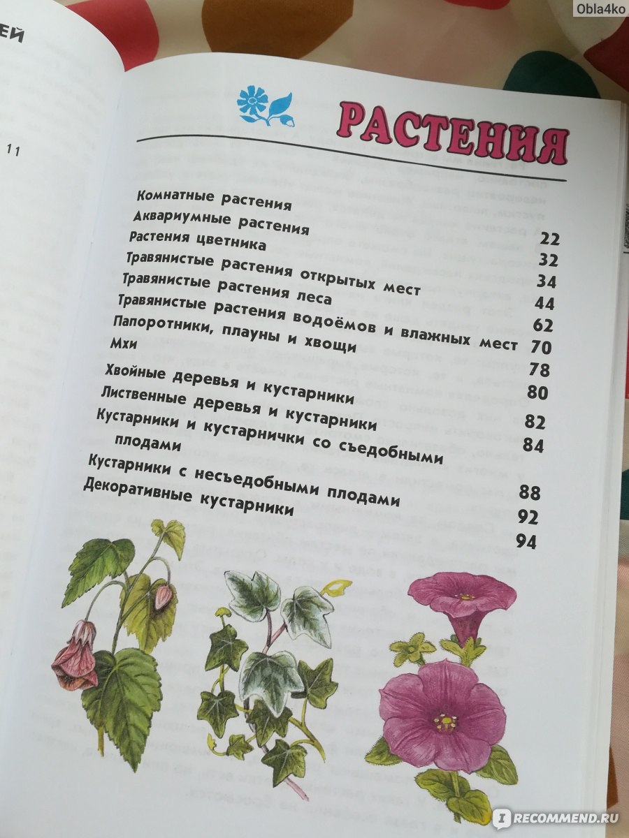 От земли до неба. Атлас-определитель. Андрей Плешаков - «Ученик начальной  школы откроет для себя много интересного на страницах этого справочника» |  отзывы