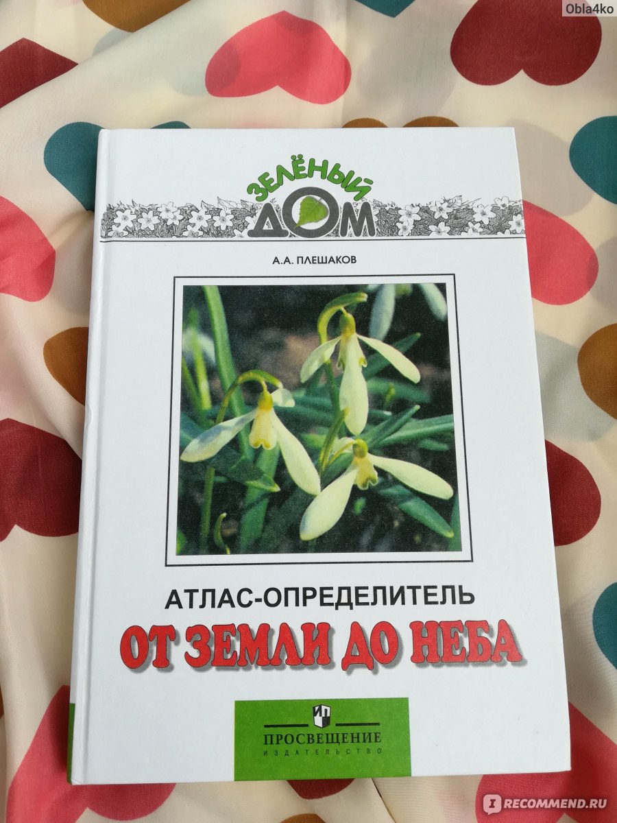 От земли до неба. Атлас-определитель. Андрей Плешаков - «Ученик начальной  школы откроет для себя много интересного на страницах этого справочника» |  отзывы