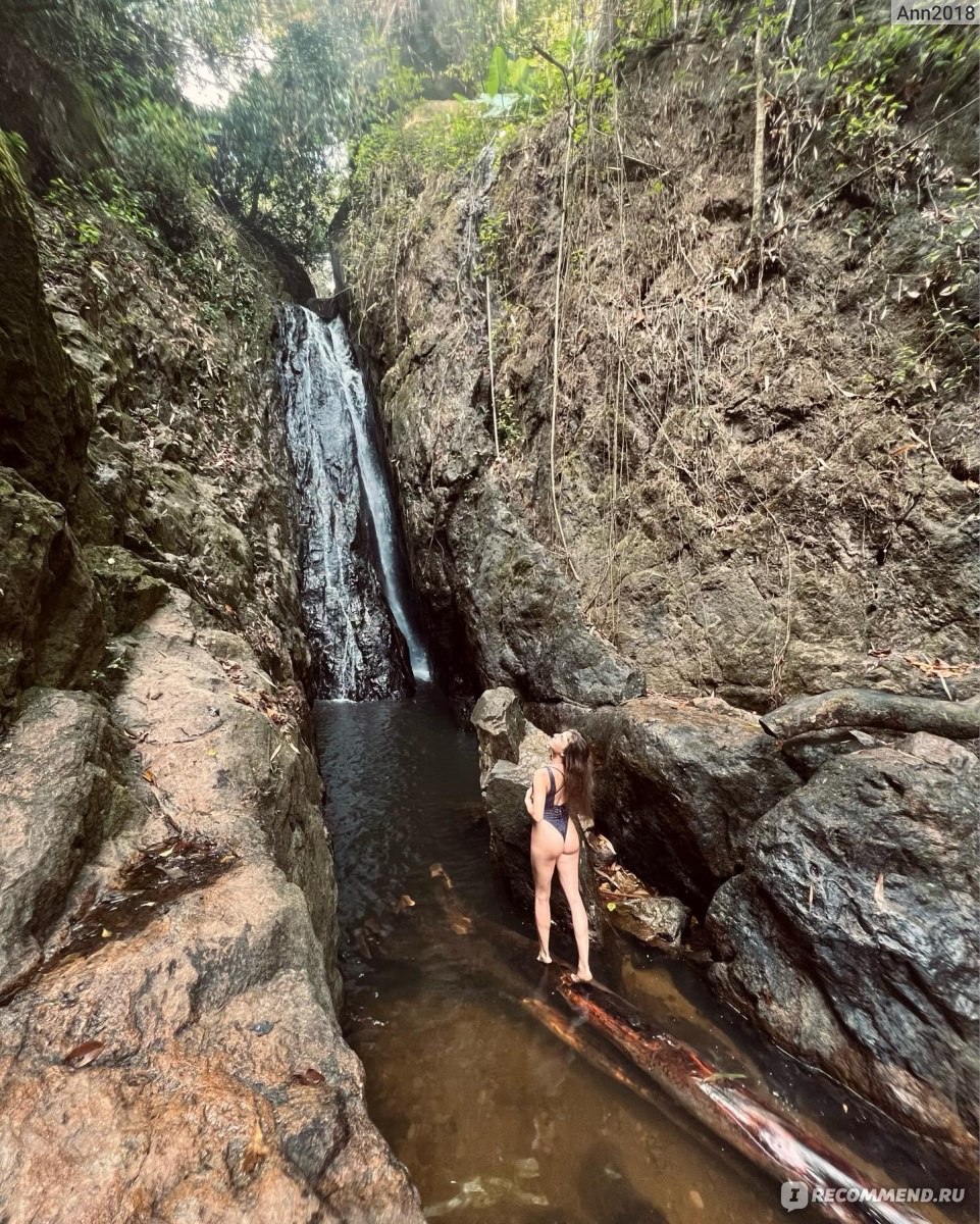 катание на слонах пханг нга. отель в джунглях пхукета. джунгли самуи. тайланд пхукет джунгли. пхукет природа джунгли.