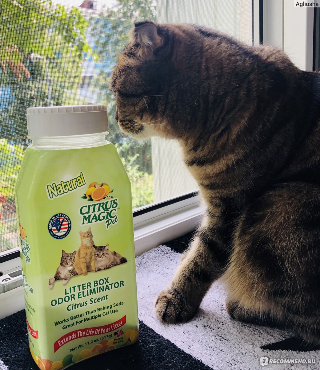 Средство для удаления органических запахов Citrus magic pet Litter box odor  eliminator - «Избавится от запаха кошечки реально и легко! Поможет порошок  от запаха с iHerb. Ваши гости и не почувствуют, что