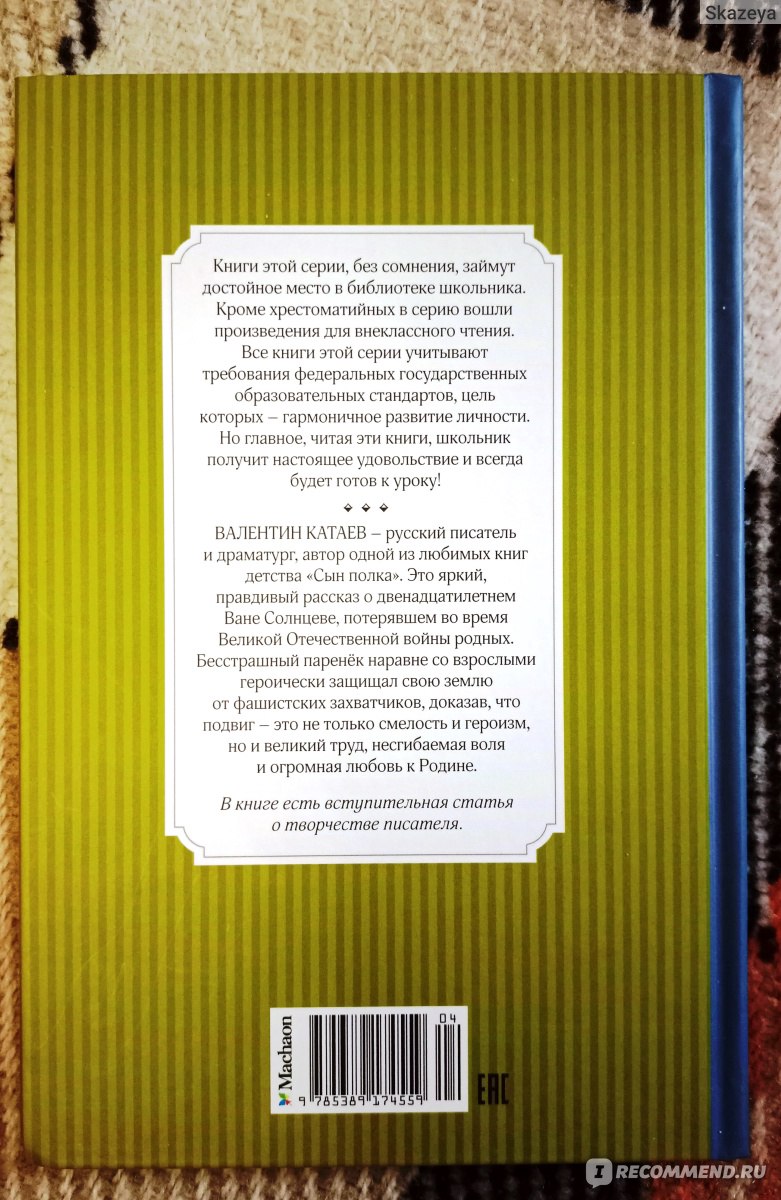 Сын полка. Валентин Катаев - «Литературное сокровище для будущих защитников  отечества. Прекрасно подойдет для семейного чтения.» | отзывы