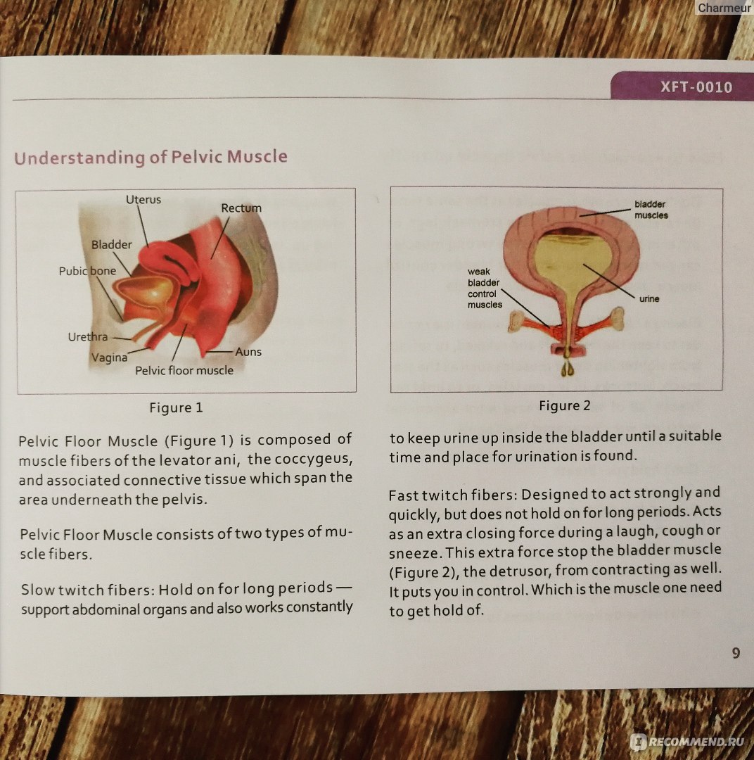 Тренажер IEase Pneumatic pelvic muscle trainer XFT- 0010 фото