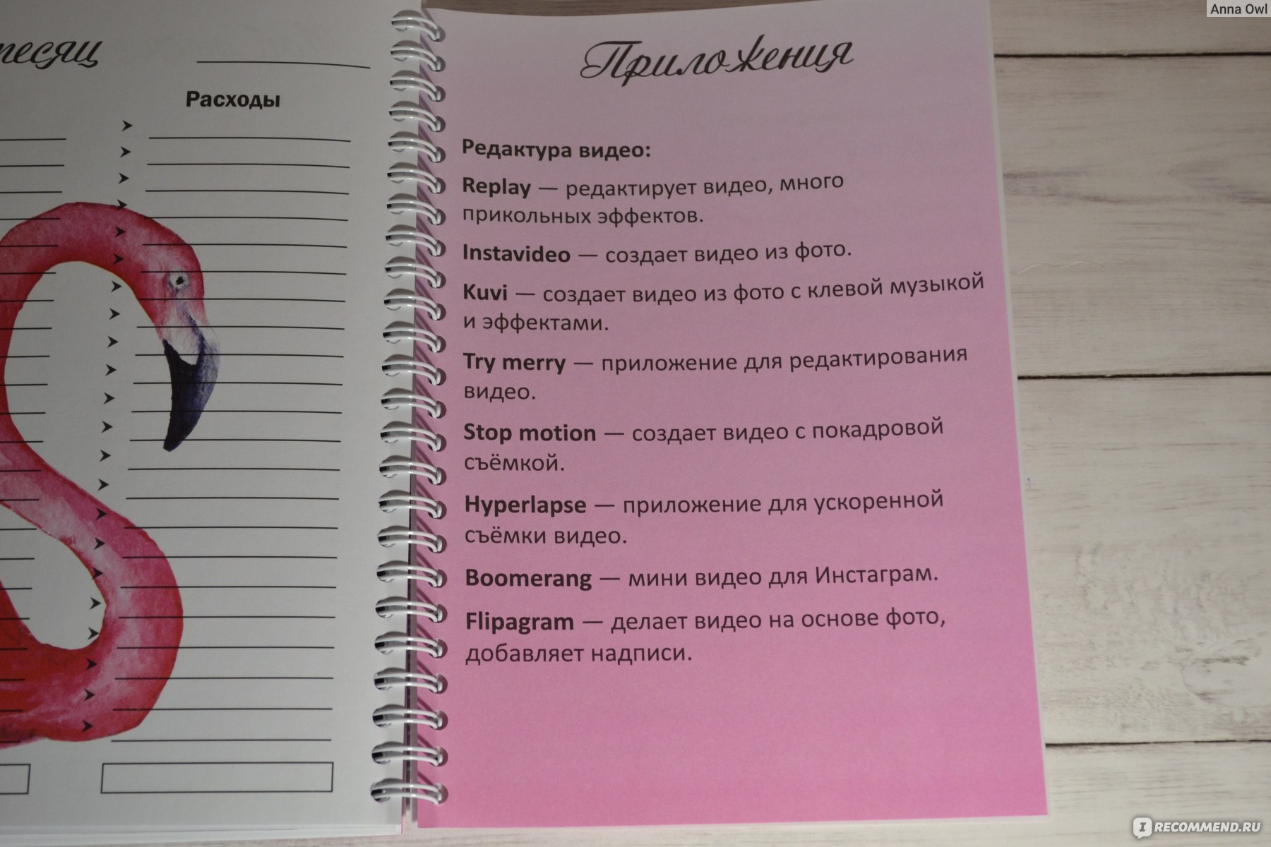 Слова песни розовый закат. Розовый Фламинго дитя заката текст. Розовый Фламинго текси. Розовый Фламинго песня текст. Песня розовый Фламинго дитя заката.