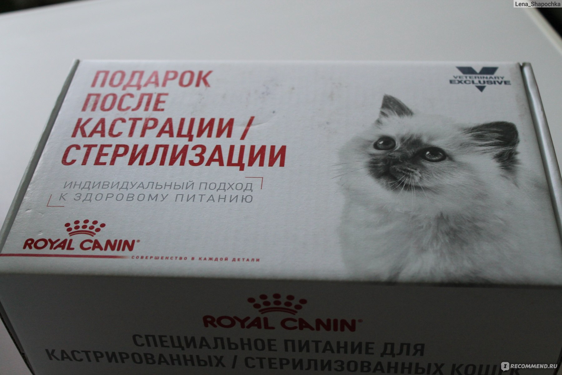 Таблетки после стерилизации. Препарат для стерилизации кошек. Таблетки для стерилизации кошек. Обезболивающие таблетки для кошек после операции. Обезболивающие таблетки для кошек после операции стерилизации.