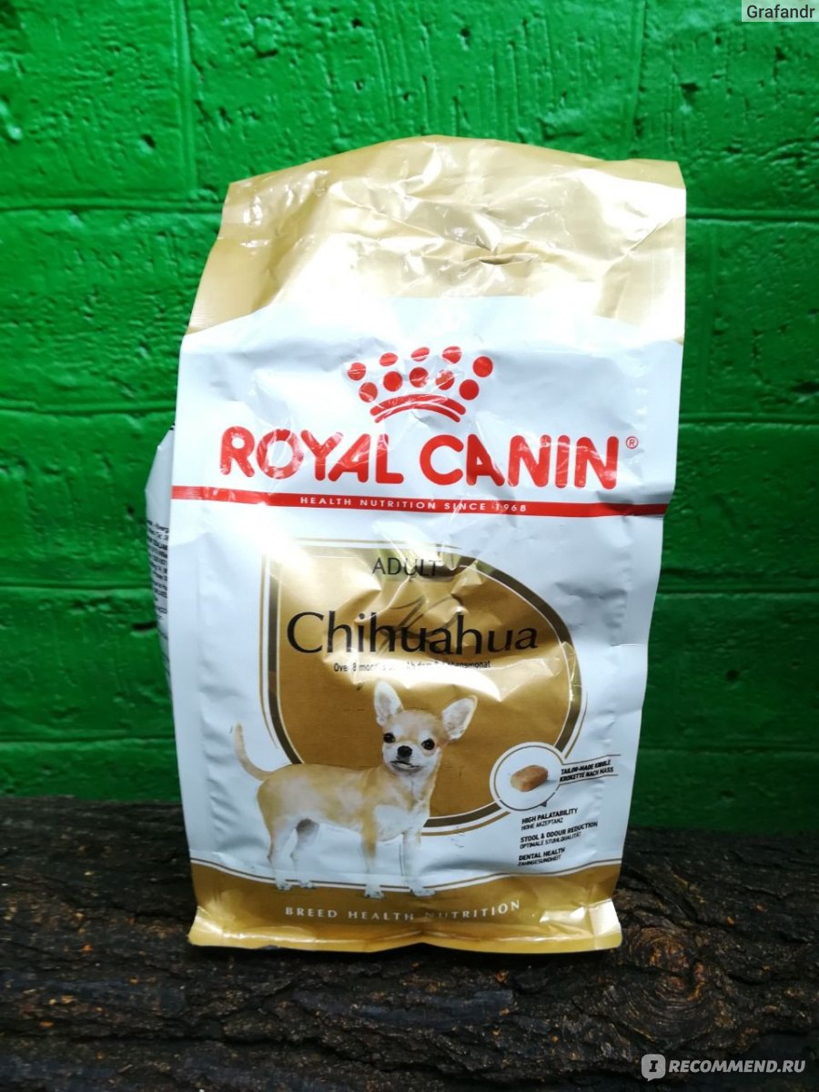 Корм для собак Royal Canin Chihuahua - «Для Чихуахуа и не только» | отзывы