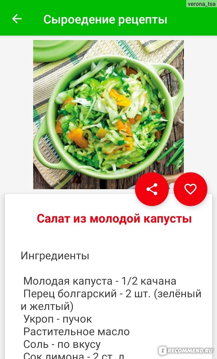 Сыроедческие закуски, самые вкусные рецепты на сайте sauna-chelyabinsk.ru