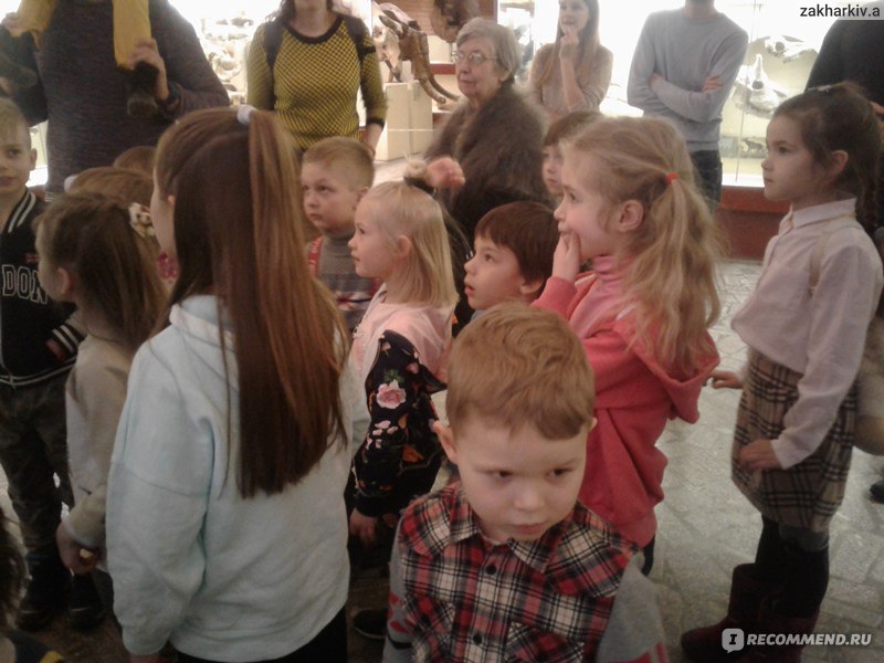 Экскурсии для детей School trip, Москва фото