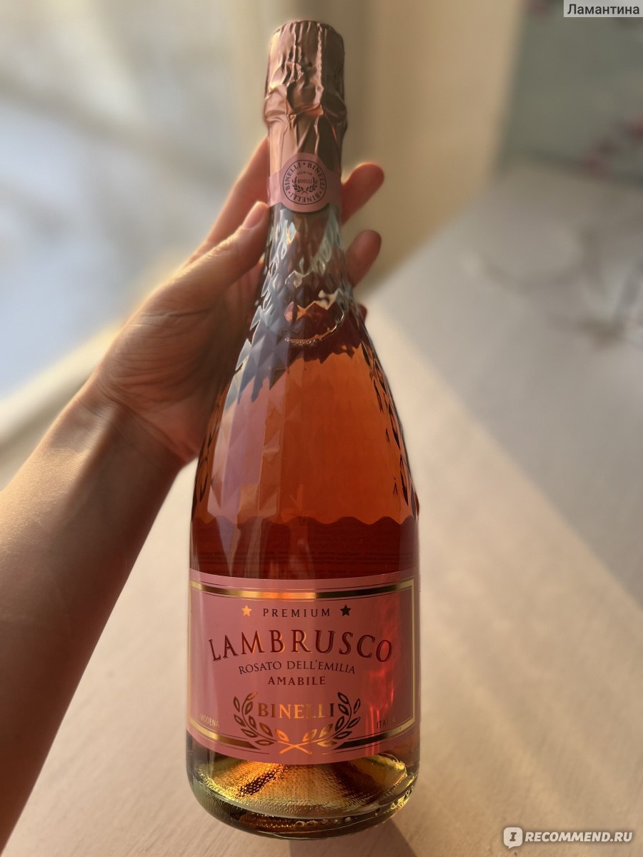 Игристое вино Lambrusco Binelli Premium фото