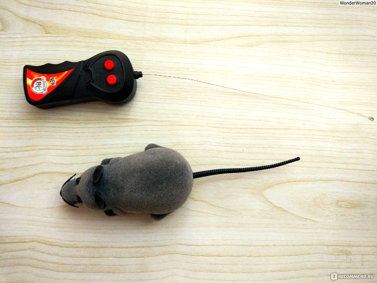 Игрушки для животных Aliexpress Hot selling New Black White Funny Pet Cat  mice Toy Wireless RC Gray Rat Mice Toy Remote Control mouse For kids toys  freeshipping - «Мышь на радиоуправлении для