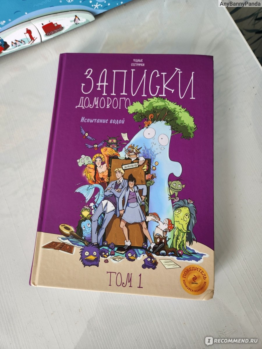 Записки домового. Том 1. Испытание водой. Чудные Сестрички - «Комикс для  подростков. Яркий, современный. Посвящен актуальным вопросам детей этого  возраста.» | отзывы