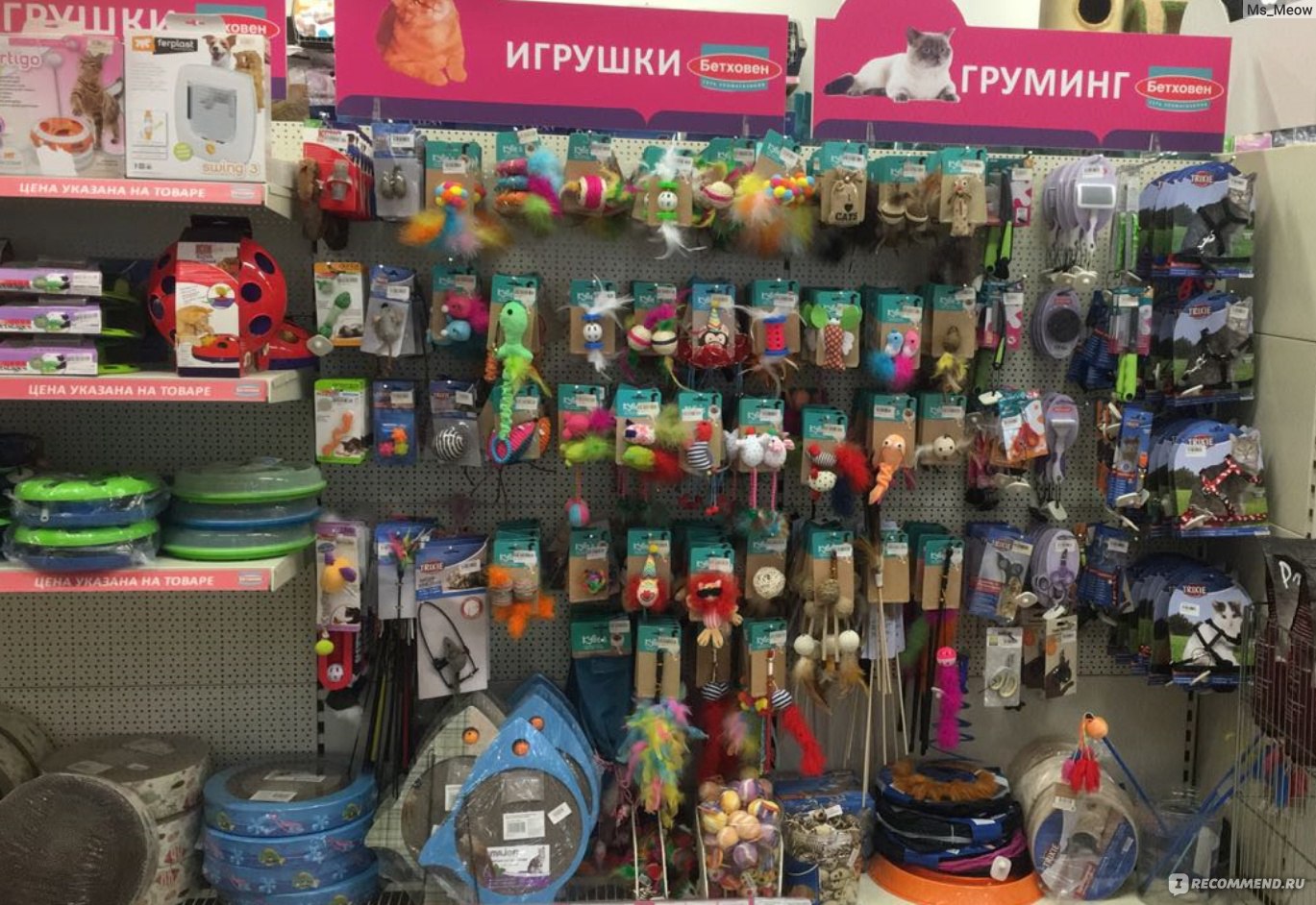 Зоотовары Интернет Магазин Москва