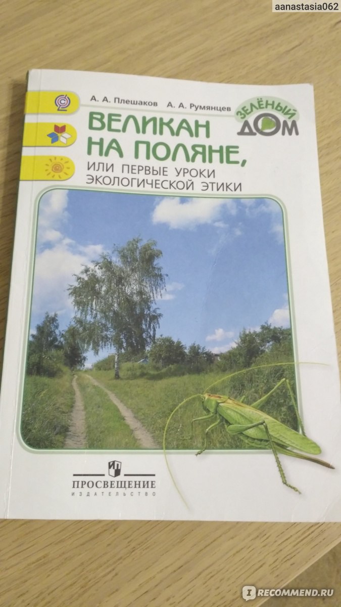 Великан на поляне читать 2 класс окружающий. Плешаков великан на Поляне. Крига великан на Поляне. Окружающий мир великан на Поляне. Книга «велекан на Поляне».