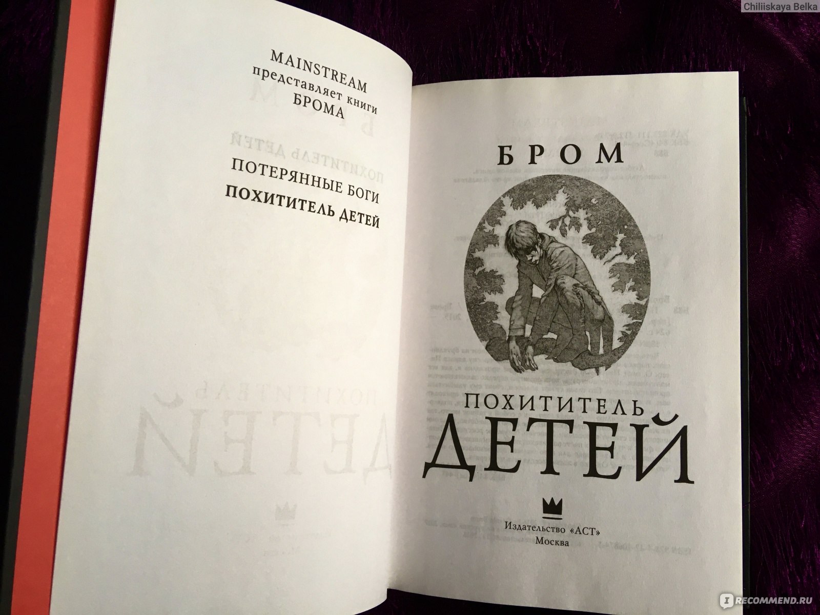 Похититель детей. Джеральд Бром - «Фея Динь-Динь уже не та, или вся  кровавая правда о Питере Пэне от мастера жутких иллюстраций Джеральда  Брома!» | отзывы